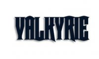 Лого Валькирия